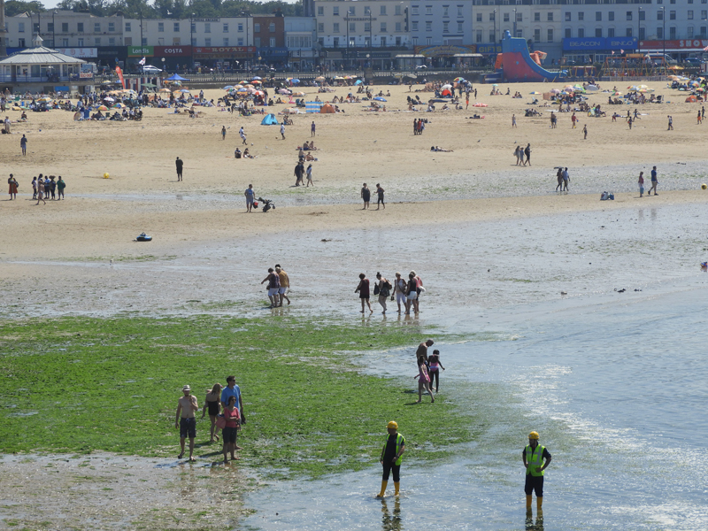 Image of Main Sands, Margate beach